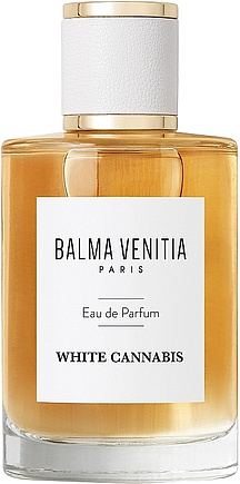 Balma Venitia White Cannabis