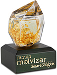 Ramon Molvizar Smart Goldskin