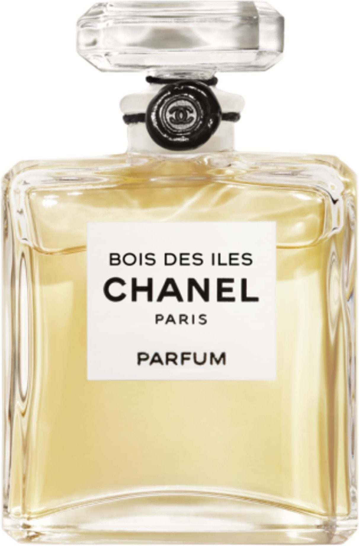 Магазин шанель духи. Chanel 19. Chanel Парфюм 19. Chanel 5 Parfum. Духи Chanel Coromandel.