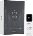 A Lab On Fire What We Do In Paris Is Secret