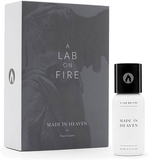 A Lab On Fire Made In Heaven
