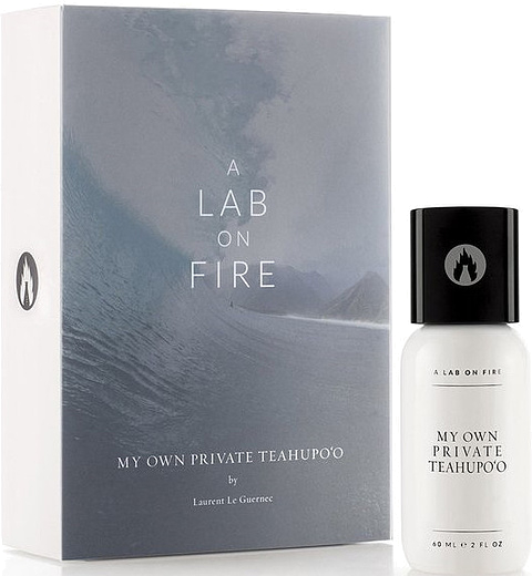 A Lab On Fire My Own Private Teahupo'o