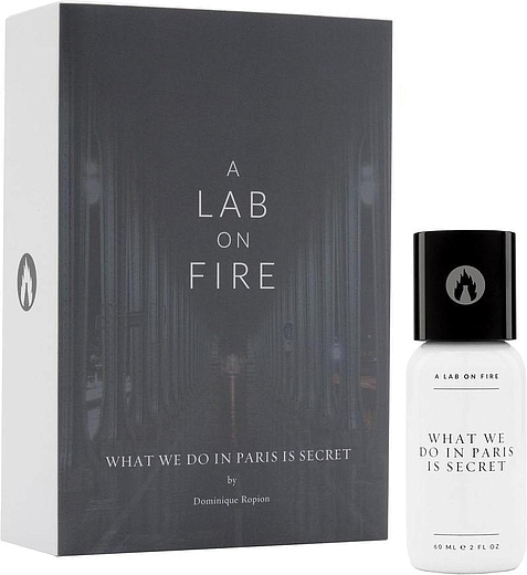 A Lab On Fire What We Do In Paris Is Secret