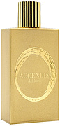 Accendis Alidoro