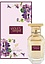 Afnan Violet Bouquet