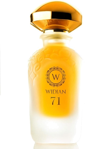 Widian (Aj Arabia) Limited 71