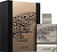 Al Haramain Amber Oud Future Dubai