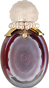 Alexandre J Heaven