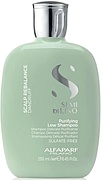 Alfaparf Semi Di Lino Scalp Purifying Shampoo