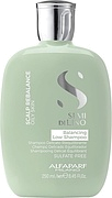 Alfaparf Semi Di Lino Scalp Rebalance Balancing Low Shampoo