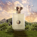 Amouage Beloved Man