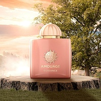 Amouage Guidance