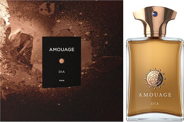 Amouage Dia pour homme