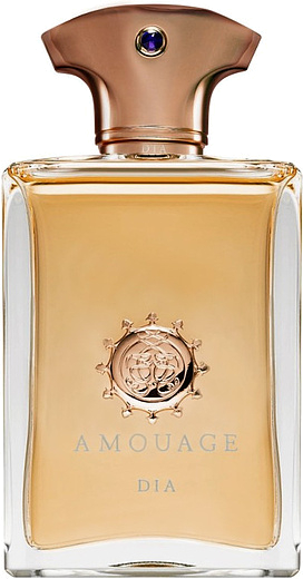 Amouage Dia pour homme