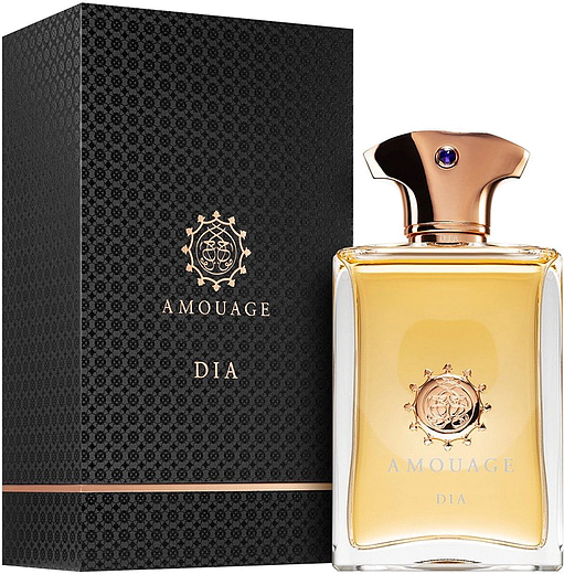 Amouage Dia pour homme