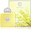 Amouage Love Mimosa