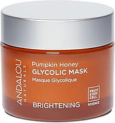 Andalou Naturals Brightening Pumpkin Honey Glycolic Mask