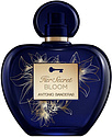 Antonio Banderas Her Secret Bloom