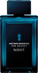 Antonio Banderas The Secret Night 