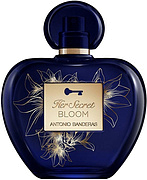 Antonio Banderas Her Secret Bloom