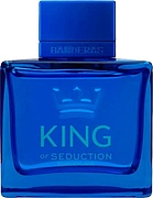 Antonio Banderas King of Seduction Summerland