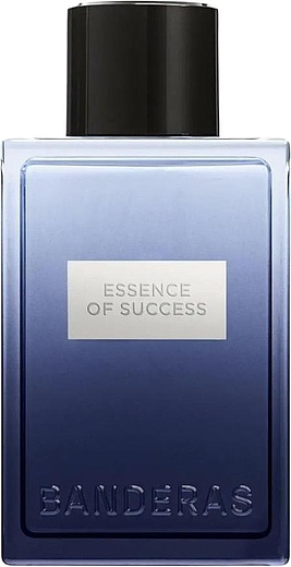 Antonio Banderas Essence of Success