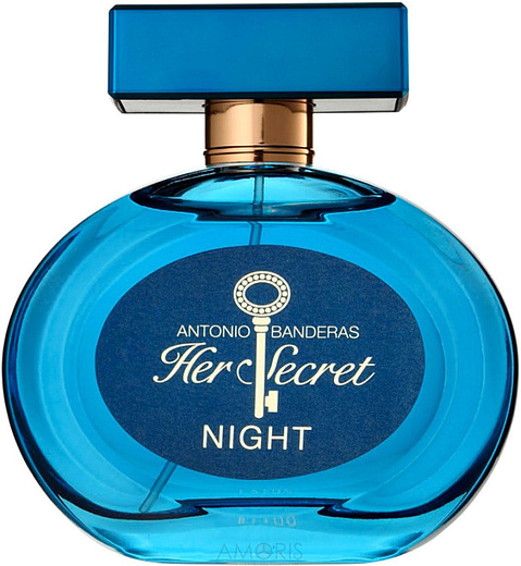 Antonio Banderas Her Secret Night