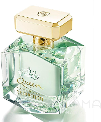 Antonio Banderas Queen of Seduction