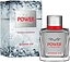 Antonio Banderas Power Of Seduction Itense Ice