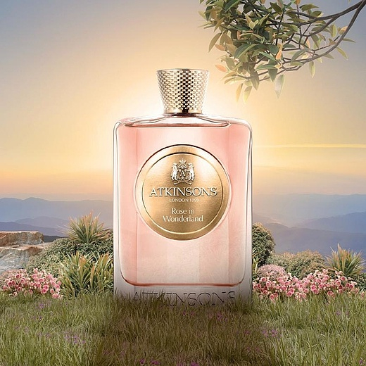 Atkinsons Rose in Wonderland