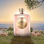 Atkinsons Rose in Wonderland