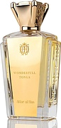 Attar Al Has Wonderful Tonka