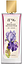 B96 Iris Ginger