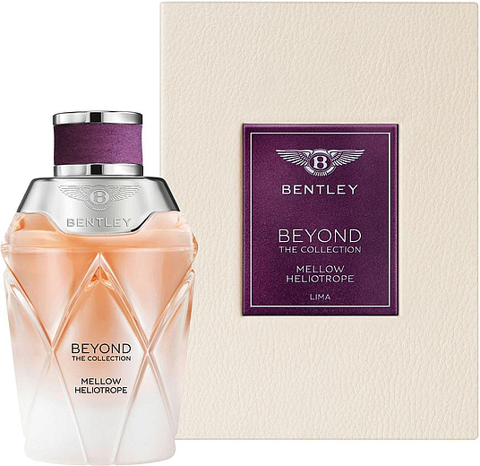 Bentley Mellow Heliotrope