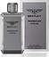 Bentley Momentum