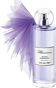 Blumarine Shine Like A Night