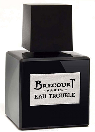 Brecourt Eau Trouble