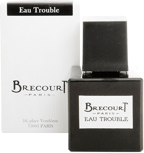 Brecourt Eau Trouble
