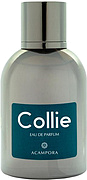 Bruno Acampora Collie