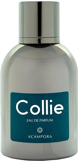 Bruno Acampora Collie