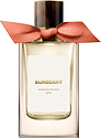 Burberry Garden Roses