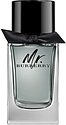 Burberry Mr. Burberry
