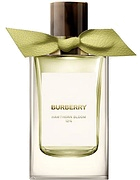 Burberry Hawthorn Bloom
