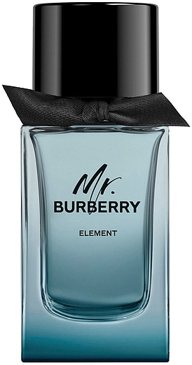Burberry Mr. Burberry Element