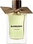 Burberry Oud Storm
