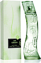 Cafe-Cafe Cafe-Cafe Green
