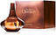 Calvin Klein Secret Obsession