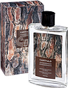 Capitulo Orange Blossom Frost