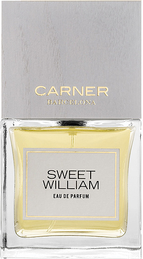 Carner Barcelona Sweet William