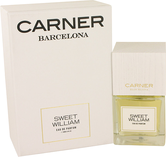 Carner Barcelona Sweet William